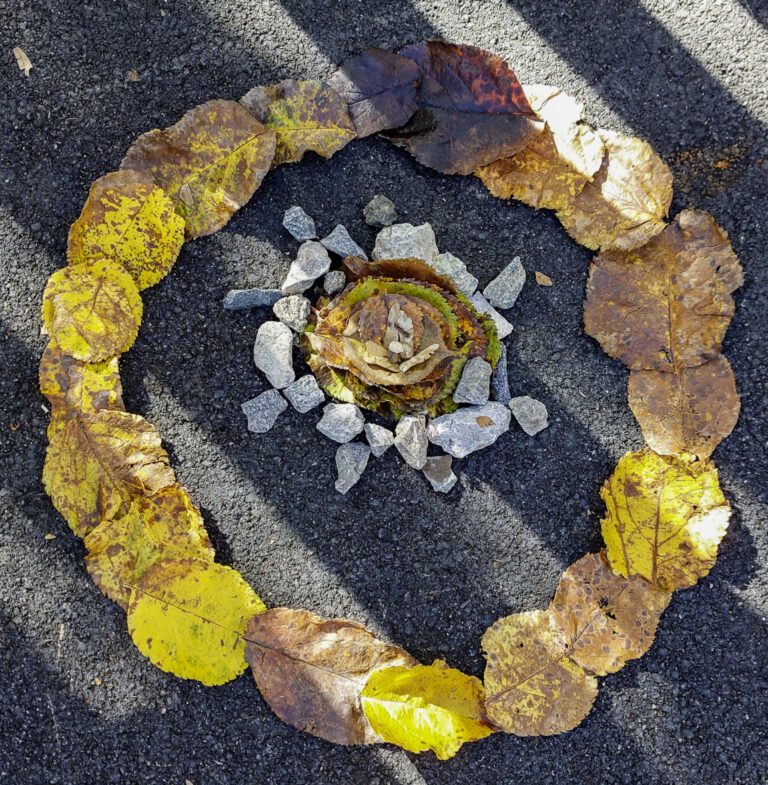 Naturkunst: Laubschlange und Schwerkraftkleber