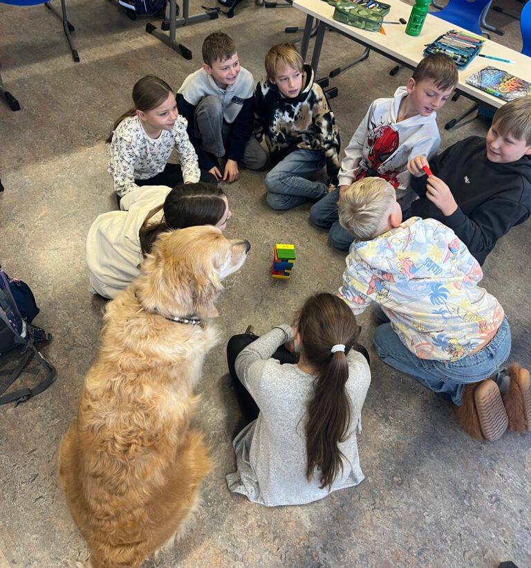 Schulhund Mogli rechnet mit